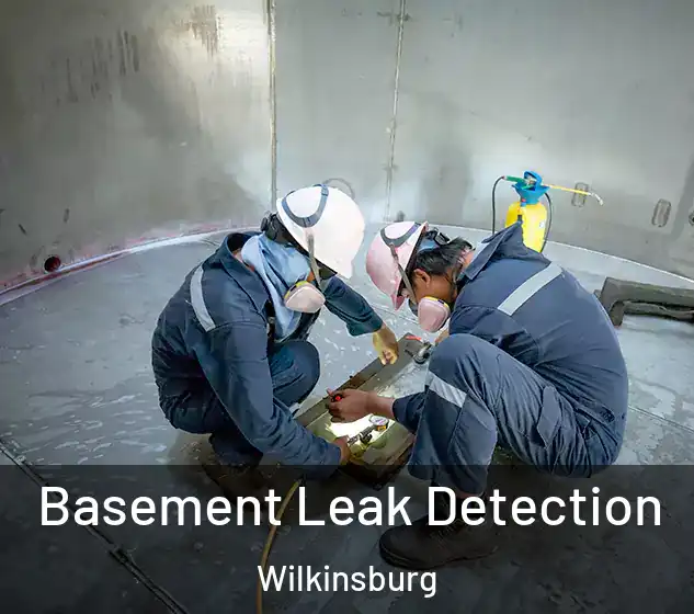  Basement Leak Detection Wilkinsburg