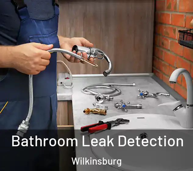  Bathroom Leak Detection Wilkinsburg