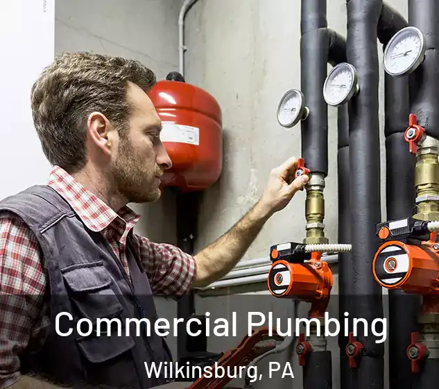  Commercial Plumbing Wilkinsburg, PA