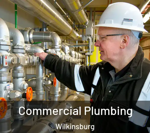  Commercial Plumbing Wilkinsburg