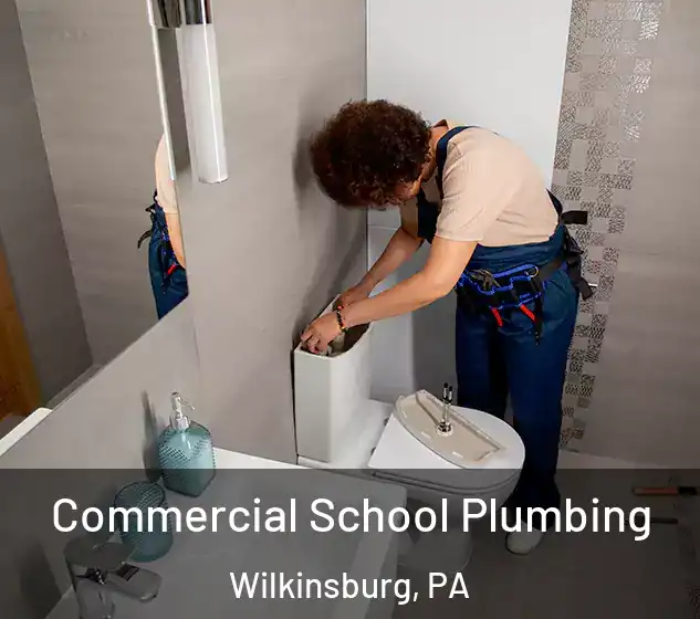  Commercial School Plumbing Wilkinsburg, PA
