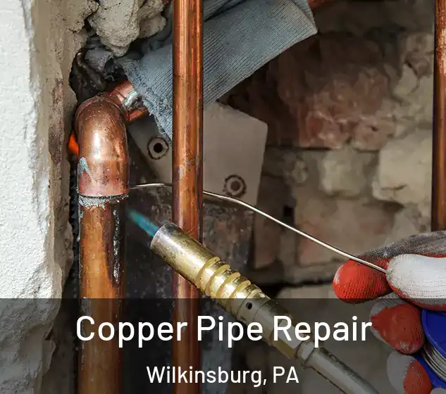  Copper Pipe Repair Wilkinsburg, PA