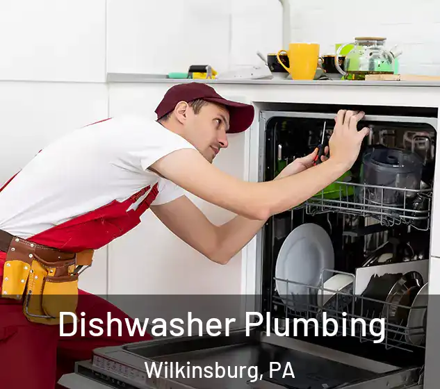  Dishwasher Plumbing Wilkinsburg, PA
