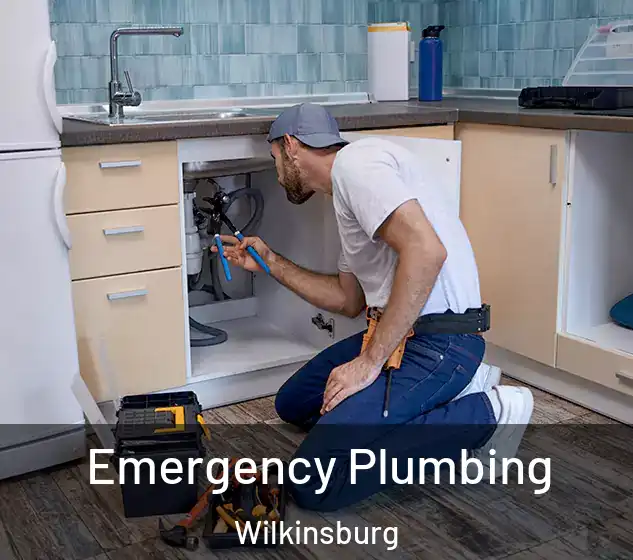 Emergency Plumbing Wilkinsburg