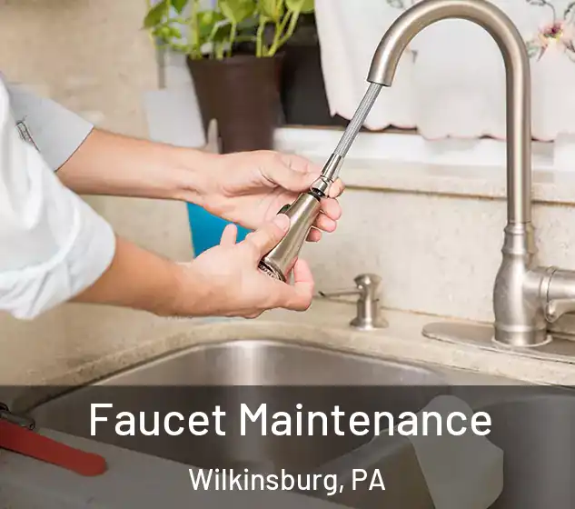  Faucet Maintenance Wilkinsburg, PA