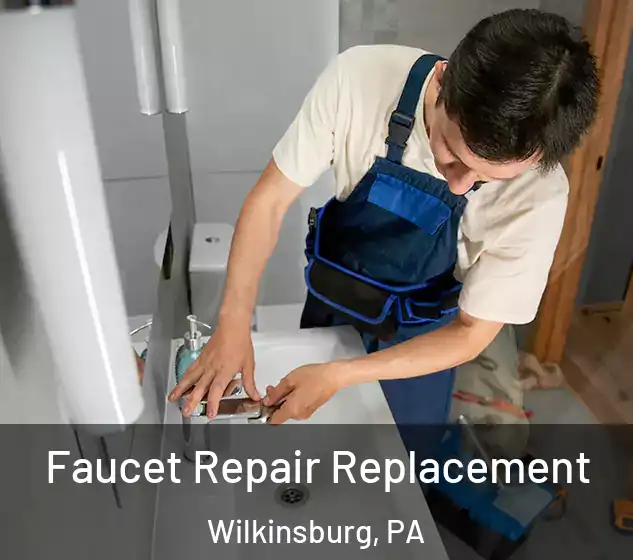 Faucet Repair Replacement Wilkinsburg, PA