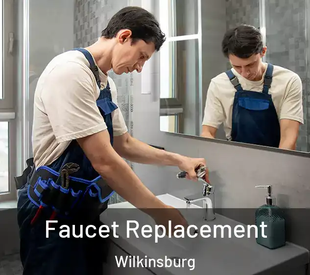  Faucet Replacement Wilkinsburg
