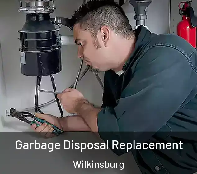  Garbage Disposal Replacement Wilkinsburg