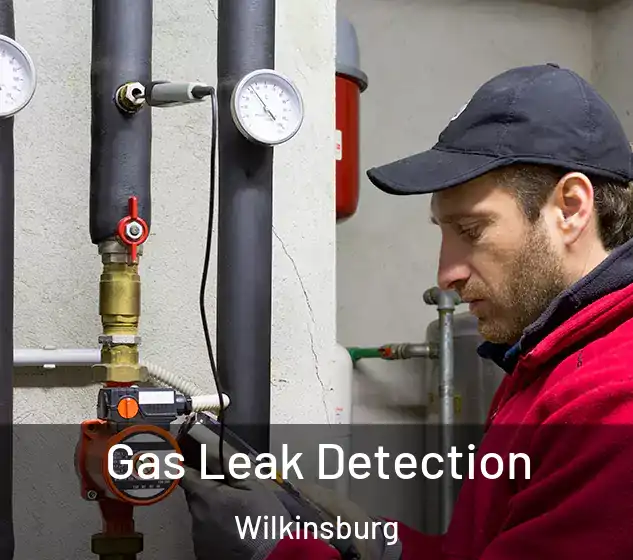  Gas Leak Detection Wilkinsburg