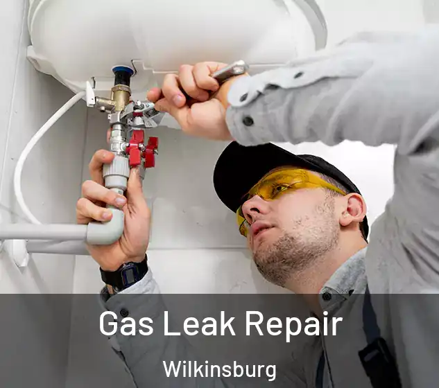  Gas Leak Repair Wilkinsburg