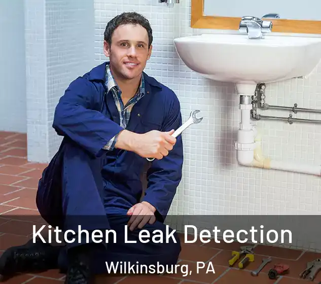  Kitchen Leak Detection Wilkinsburg, PA