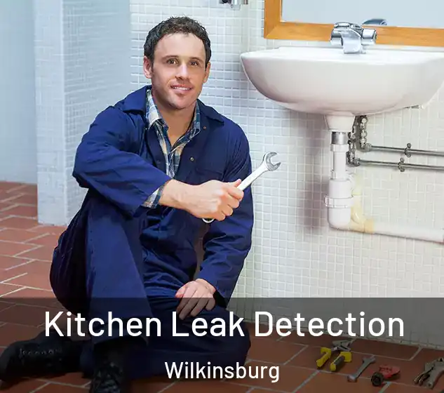  Kitchen Leak Detection Wilkinsburg