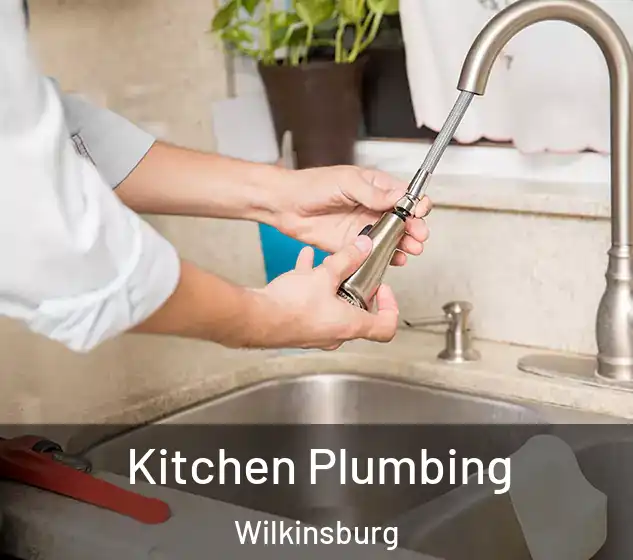  Kitchen Plumbing Wilkinsburg