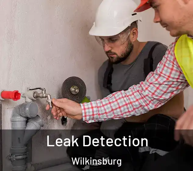  Leak Detection Wilkinsburg
