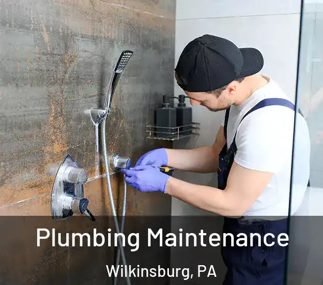  Plumbing Maintenance Wilkinsburg, PA
