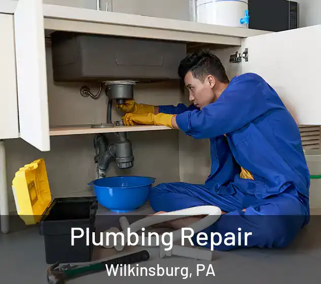 Plumbing Repair Wilkinsburg, PA