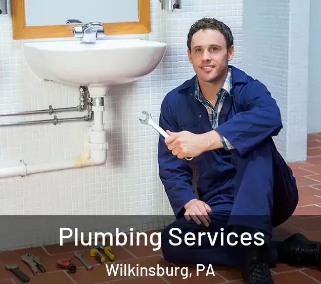  Plumbing Services Wilkinsburg, PA