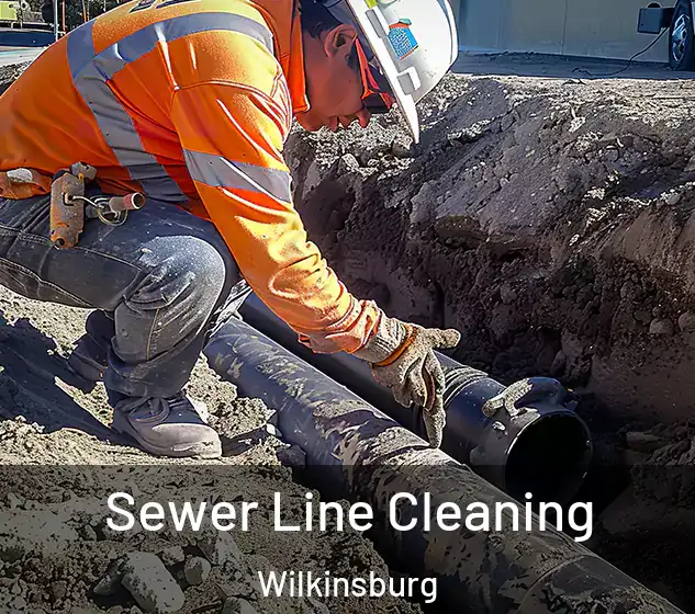  Sewer Line Cleaning Wilkinsburg