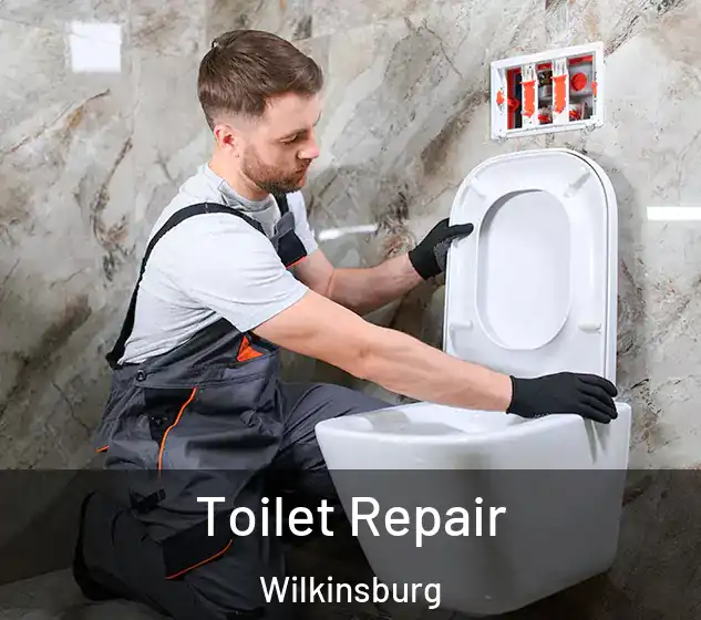  Toilet Repair Wilkinsburg