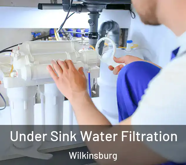  Under Sink Water Filtration Wilkinsburg