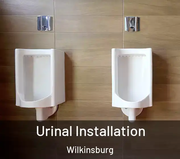  Urinal Installation Wilkinsburg
