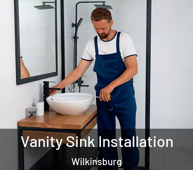  Vanity Sink Installation Wilkinsburg