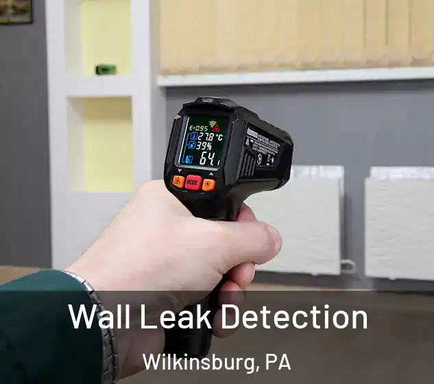  Wall Leak Detection Wilkinsburg, PA