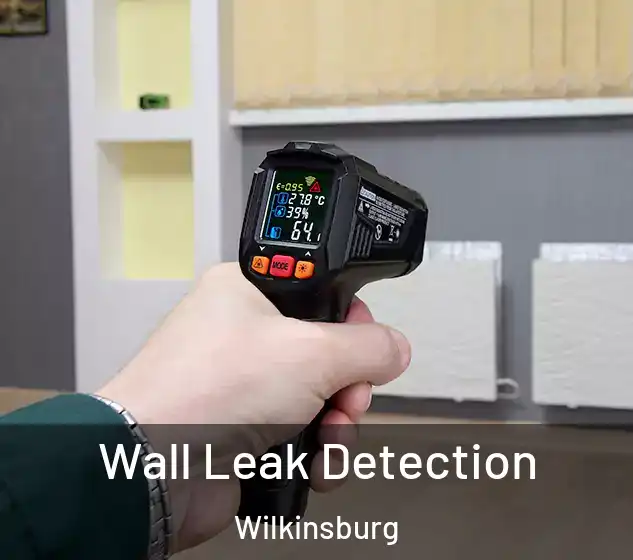  Wall Leak Detection Wilkinsburg