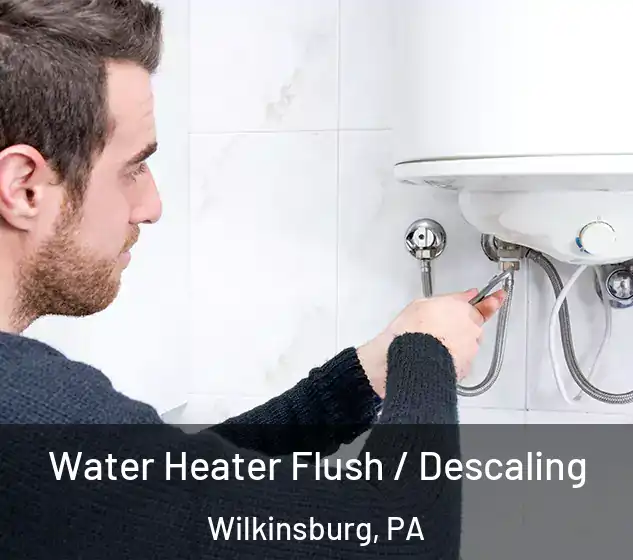  Water Heater Flush / Descaling Wilkinsburg, PA