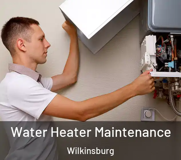  Water Heater Maintenance Wilkinsburg