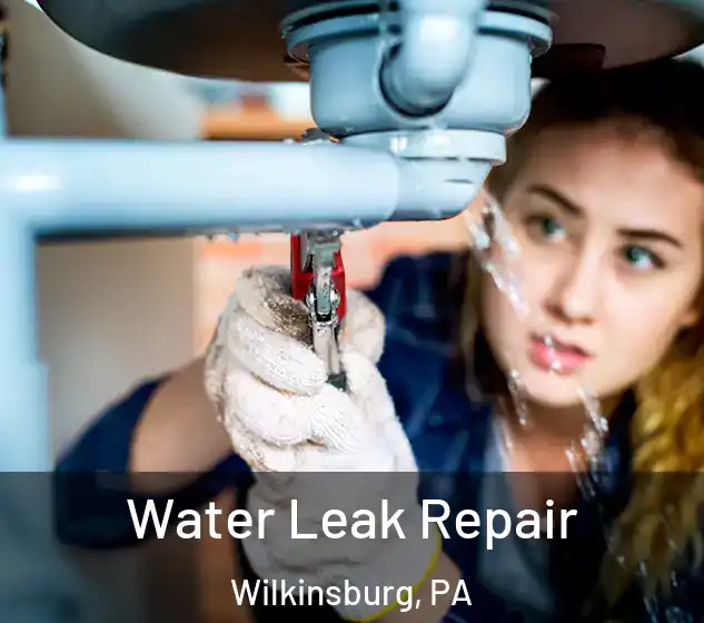  Water Leak Repair Wilkinsburg, PA