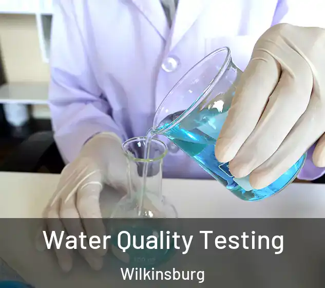  Water Quality Testing Wilkinsburg