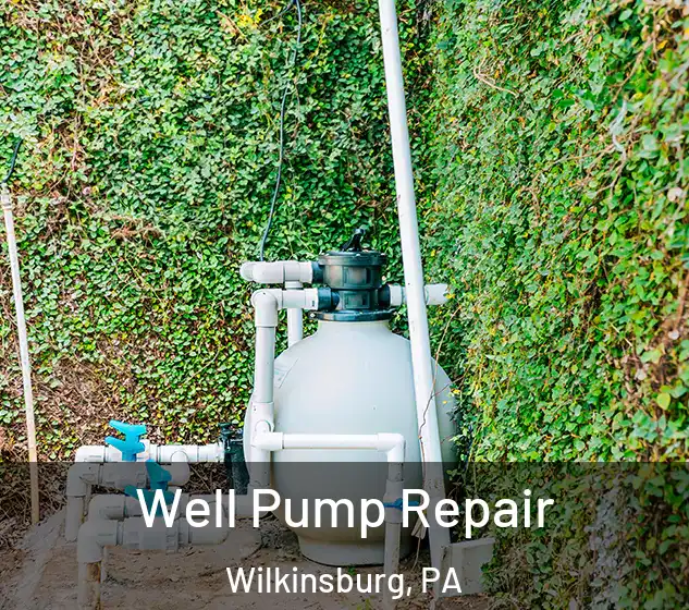  Well Pump Repair Wilkinsburg, PA